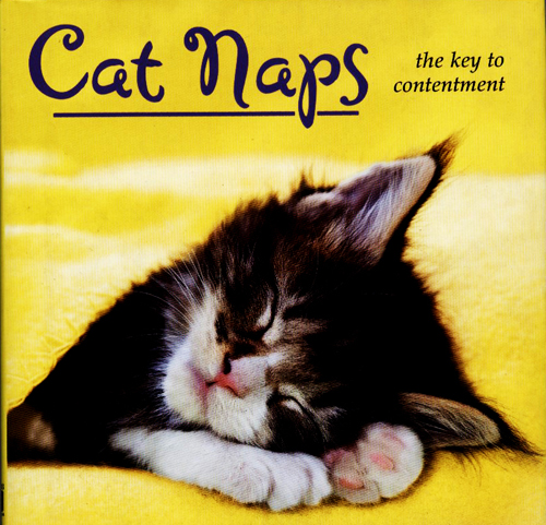 #Biblioinforma | CAT NAPS