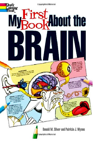 MY FIRST BOOK ABOUT THE BRAIN