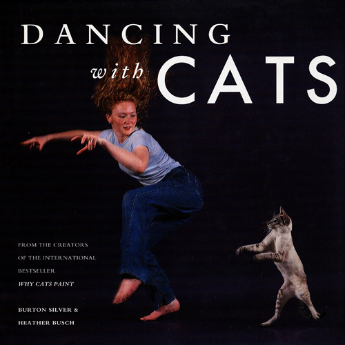 #Biblioinforma | DANCING WITH CATS