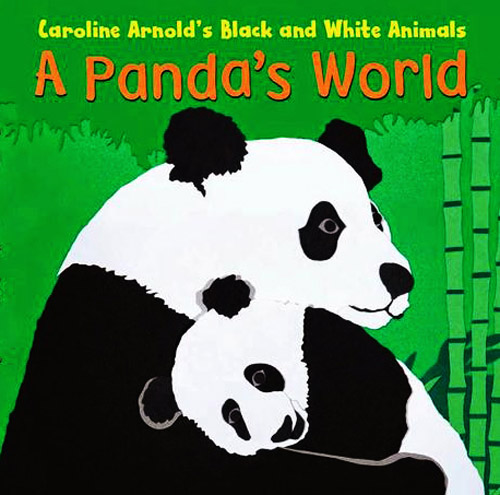A PANDAS WORLD