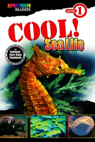 #Biblioinforma | COOL! SEA LIFE