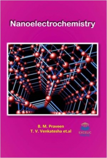 Nanoelectrochemistry