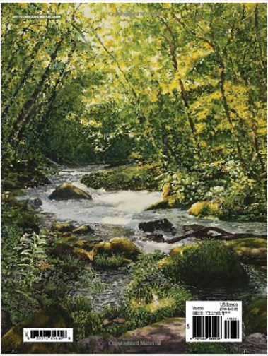 #Biblioinforma | Splash 15: Creative Solutions (Splash: The Best of Watercolor, 15)