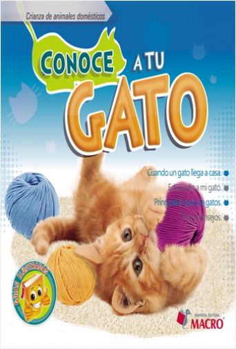 #Biblioinforma | CONOCE A TU GATO