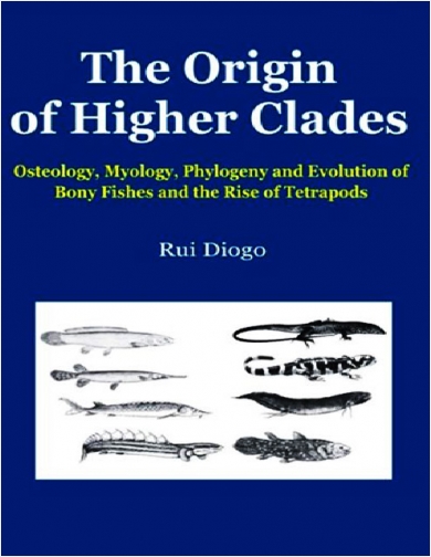THE ORIGIN OF HIGHER CLADES OSTEOLOGY, MYOLOGY, PHYLOGENY AND EVOLUTION OF BONY FISHES AND THE RISE OF TETRAPODS