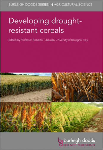 Developing drought-resistant cereals